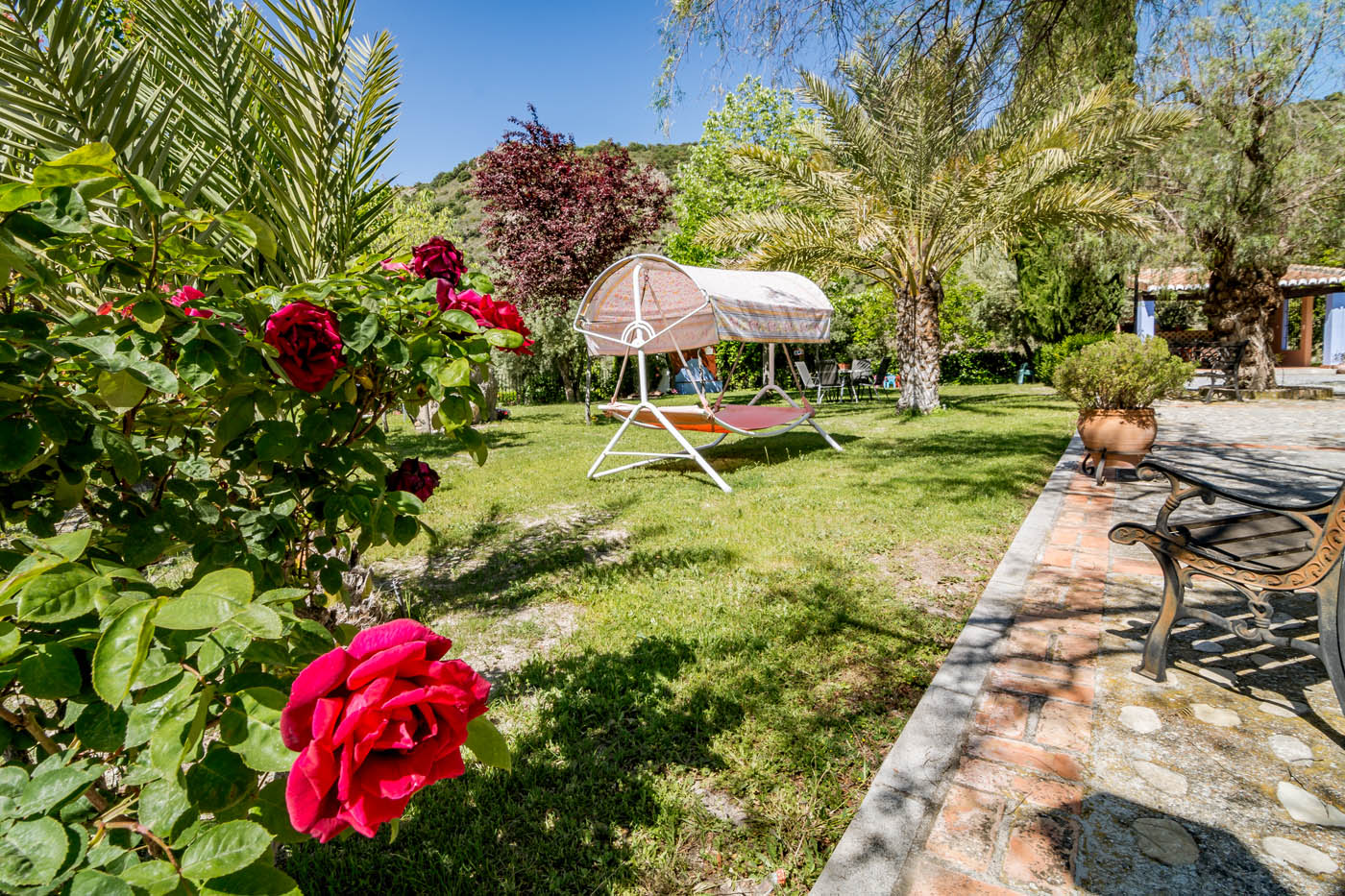 A morning walk around the gardens